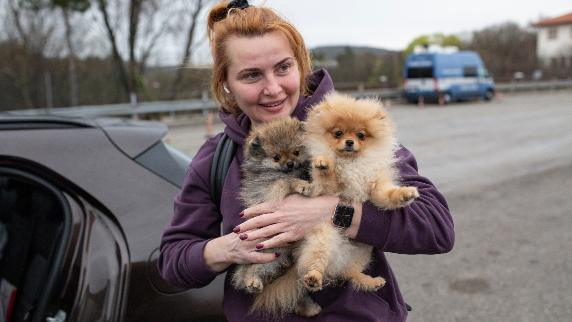 Cash-based assistance to help refugees with pets
