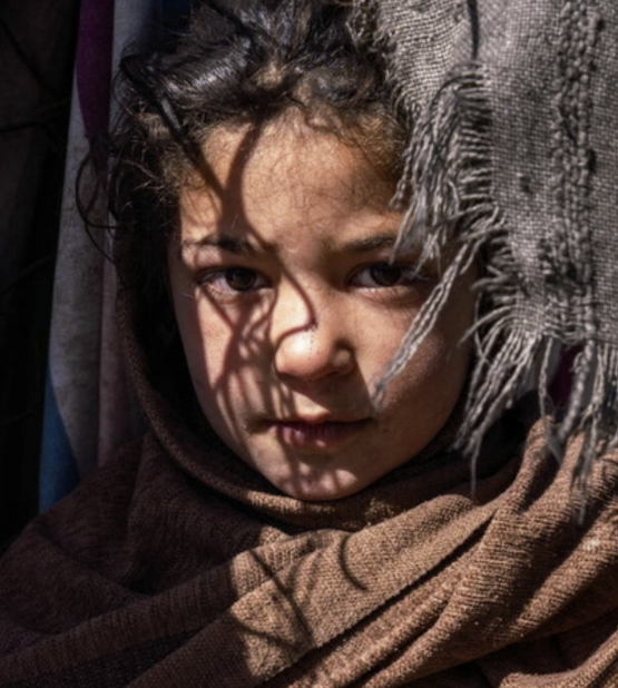 Winter Donation Page Banner