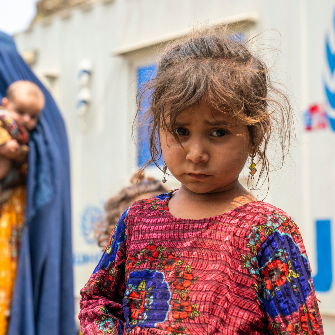 Urgent support needed for Afghan women and girls