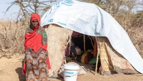 Ethiopia. Dire needs for displaced Ethiopians in the Somali region as droughts continue.
