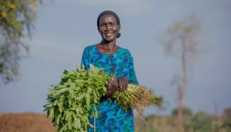 Kenya - provide three families with seeds and tools to set up kitchen gardens