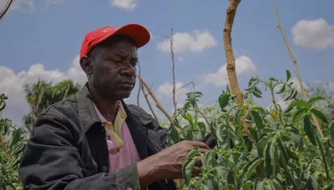 Malawi - support a refugee to start an eco-friendly livelihood