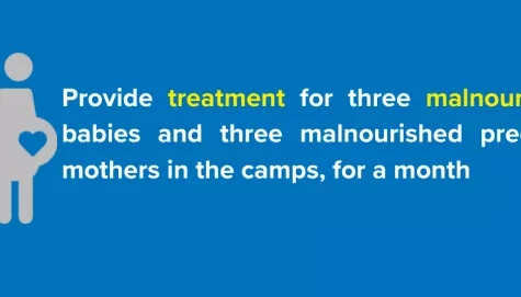 Provide treatment for malnourished babies and pregnant mothers